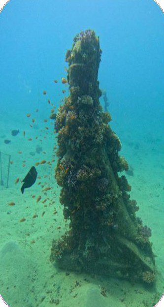 Coral-covered sculpture in clear blue water, Dahab