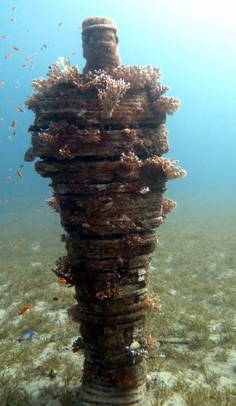 Coral growing on a sculpture tower on the Red Sea floor